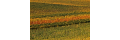 Toskana