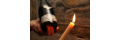 Champagner