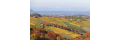 Südsteiermark