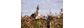 Weststeiermark