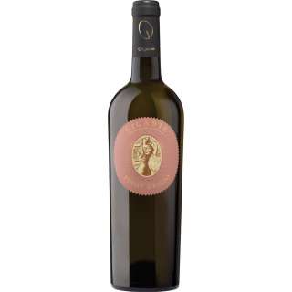 Pinot Grigio DOC Friuli Colli Orientali 2024