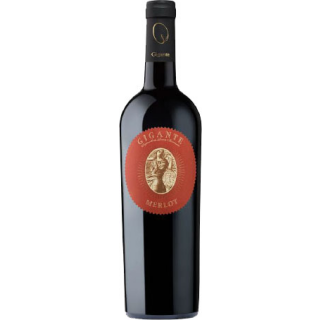 Merlot DOC Friuli Colli Orientali 2022