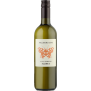 Sauvignon Blanc StadtBlick Falter Ego Weststeiermark DAC 2023