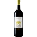 Sauvignon Blanc Kehlberg Falter Ego Weststeiermark DAC 2020