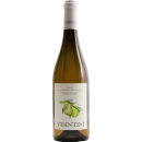 Pinot Grigio DOP Friuli 2024